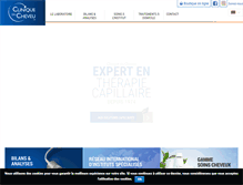 Tablet Screenshot of cliniqueducheveu.ma