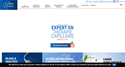 Desktop Screenshot of cliniqueducheveu.fr